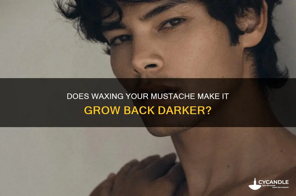 does waxing your mustache make it grow back darker