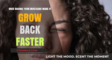 Does Waxing Your Mustache Speed Up Hair Regrowth? Facts Revealed