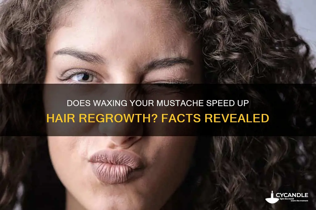 does waxing your mustache make it grow back faster
