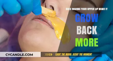Does Upper Lip Waxing Cause Thicker, Faster Hair Regrowth?