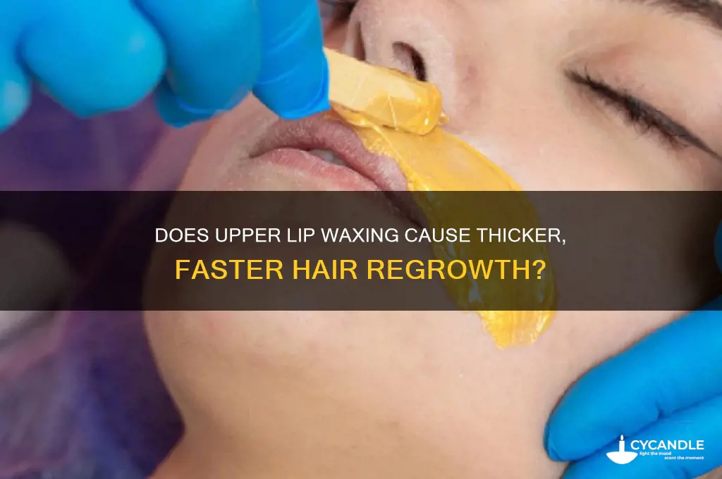 does waxing your upper lip make it grow back more