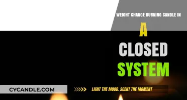 Does a Burning Candle's Weight Change in a Closed System?