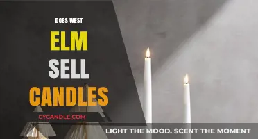 West Elm's Candle Collection: A Review