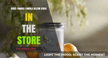 Can You Bring Your Dog to Yankee Candle? Pet Policy Explained