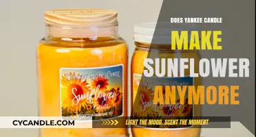 Is Yankee Candle's Sunflower Scent Still Available? Find Out Here