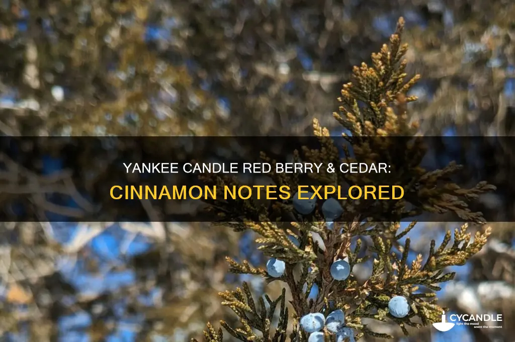 does yankee candle red berry and cedar have cinnamon