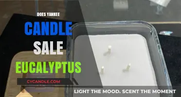 Does Yankee Candle Offer Eucalyptus Scents? A Fresh Fragrance Guide