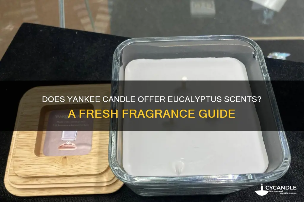 does yankee candle sale eucalyptus