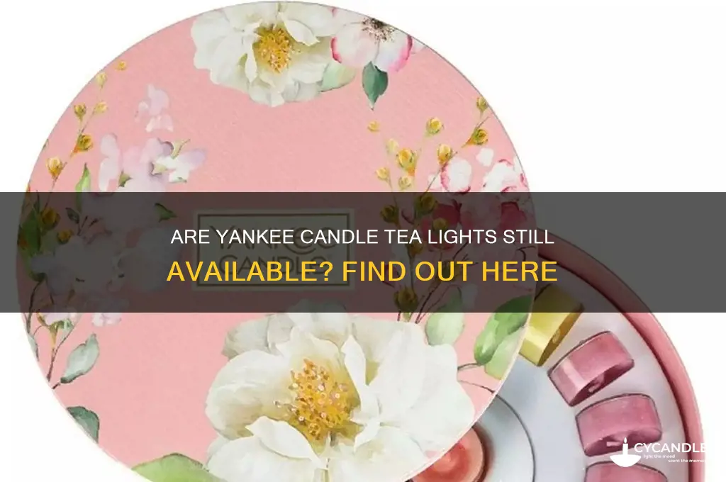 does yankee candle still make tea lights