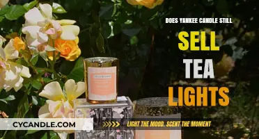Are Yankee Candle Tea Lights Still Available? Find Out Here