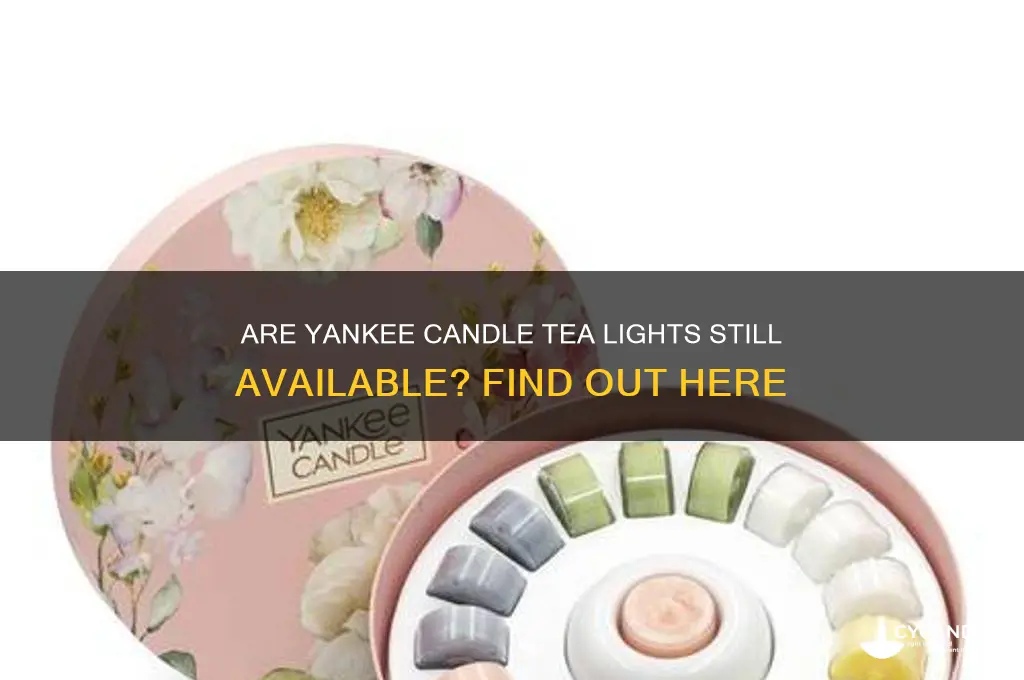 does yankee candle still sell tea lights