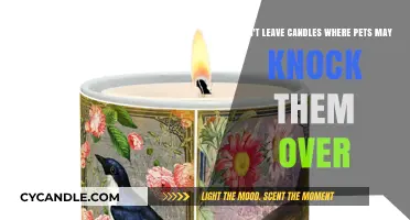 Pet-Proof Your Home: Keep Candles Out of Reach