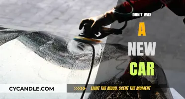 Why You Should Avoid Waxing Your Brand New Car
