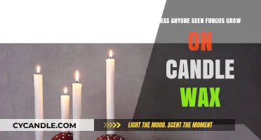Fungus on Candle Wax: Uncommon Growth or Common Occurrence?