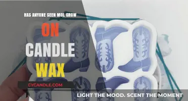 Unusual Growth: Investigating Mold on Candle Wax Surfaces