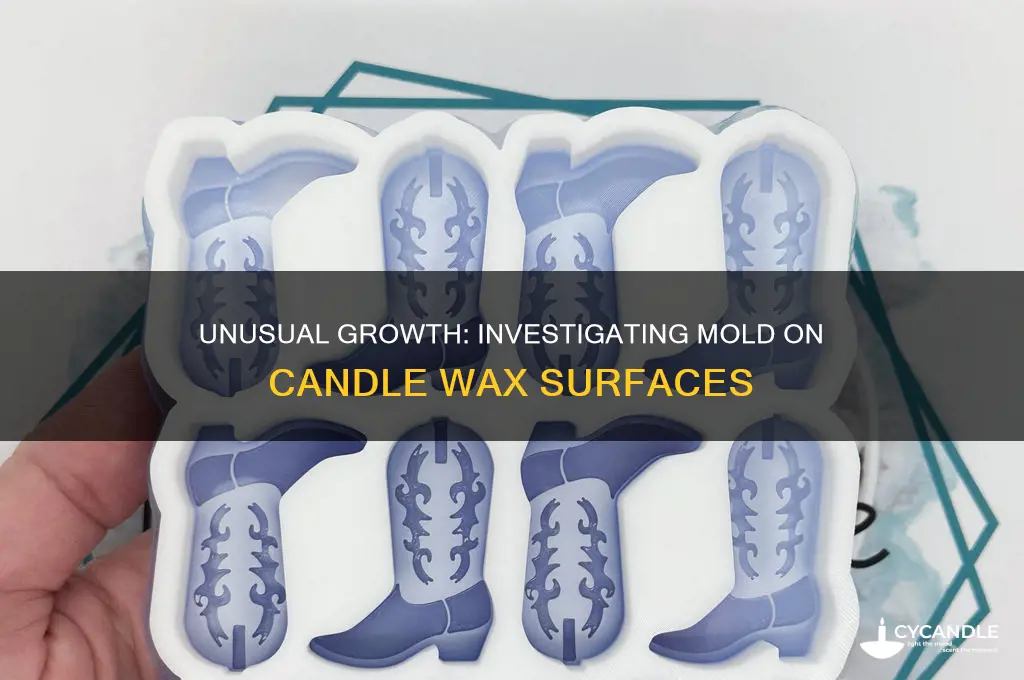 has anyone seen mol grow on candle wax