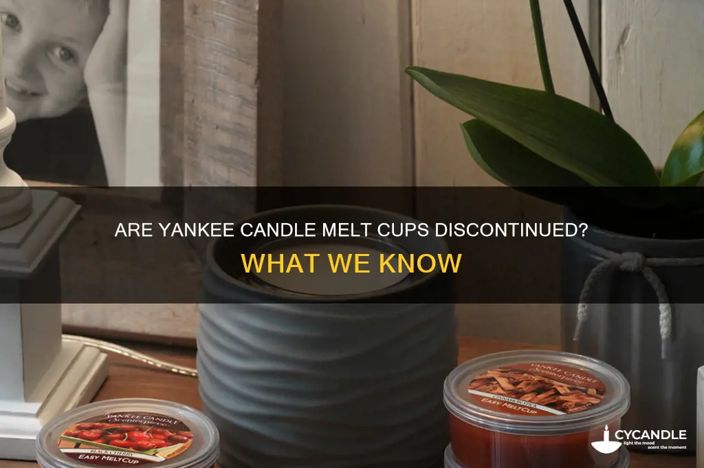 has yankee candle discontinued melt cups