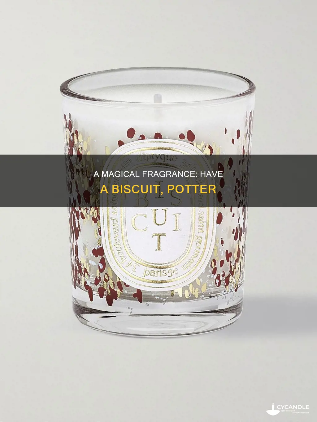 have a biscuit potter candle