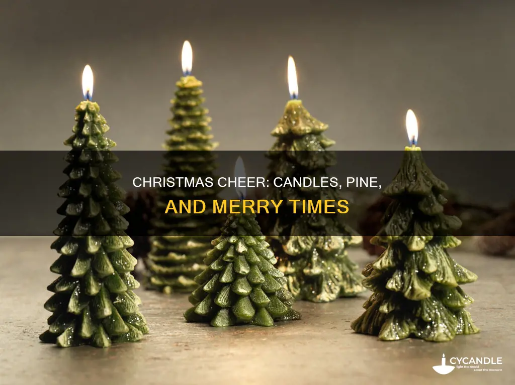 have yourself a merry little christmas candle christmas pine