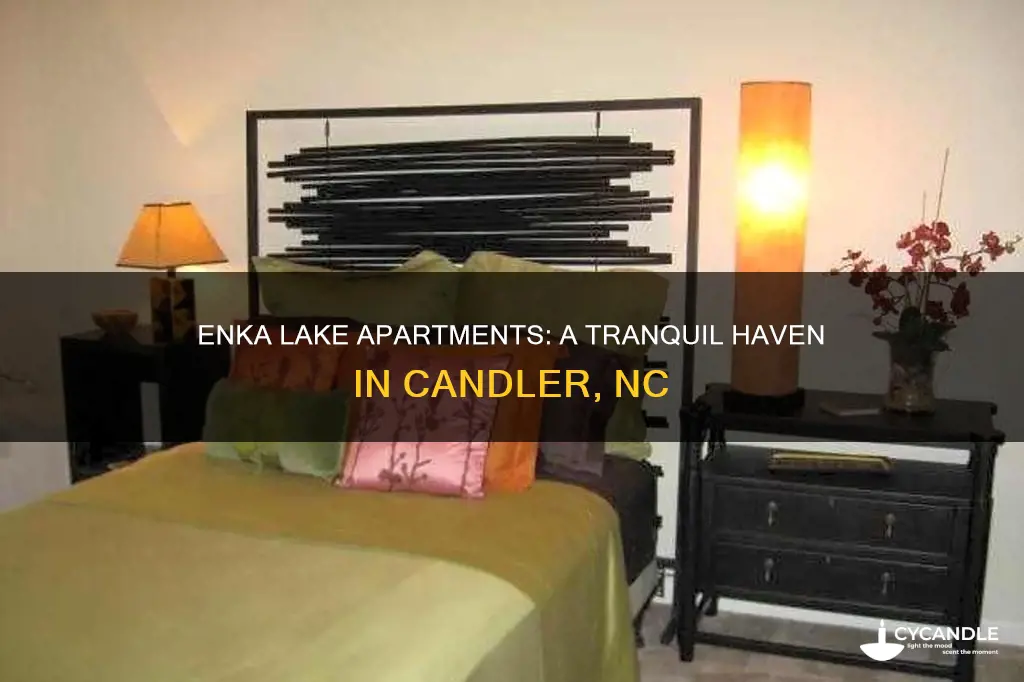 haven at enka lake apartments candler nc 28715