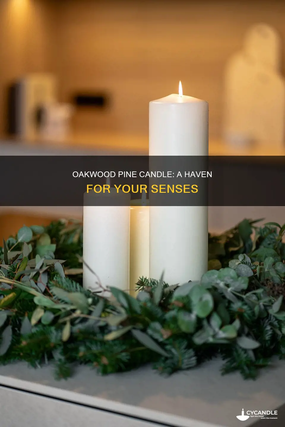 haven oakwood pine candle