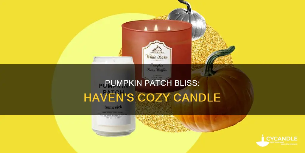 haven pumpkin patch candle