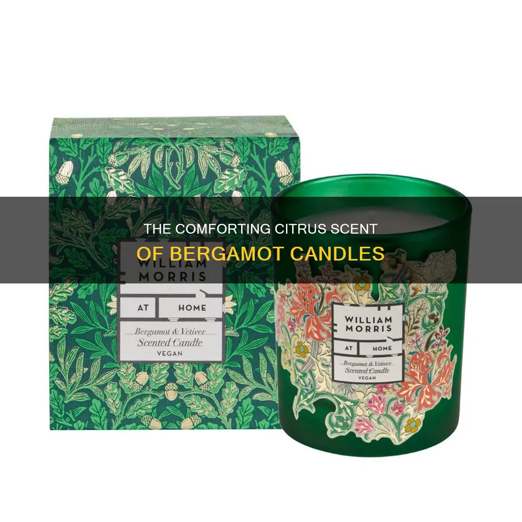 haven st candle beragmot