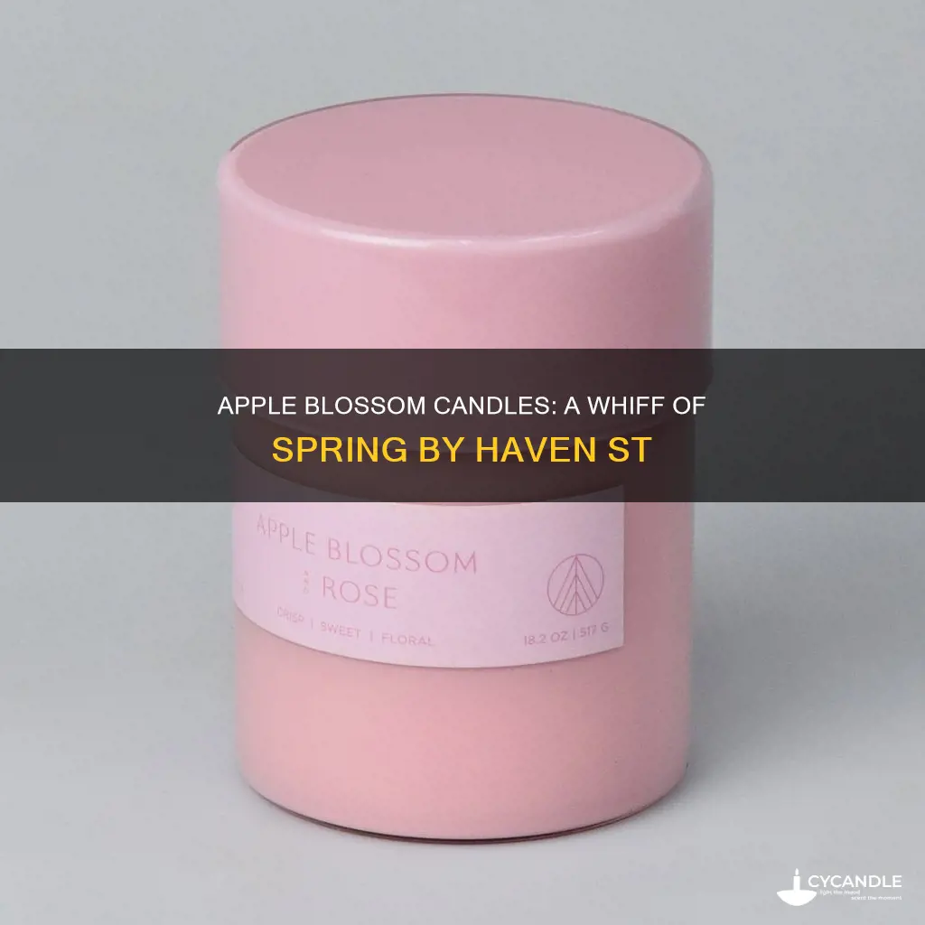 haven st candle co apple blossom