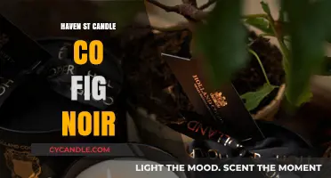 The Alluring Scent of Fig Noir by Haven St. Candle Co