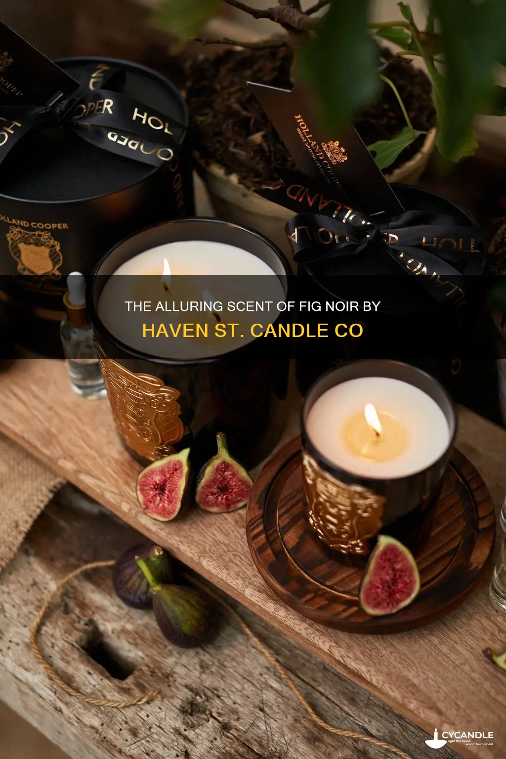 haven st candle co fig noir