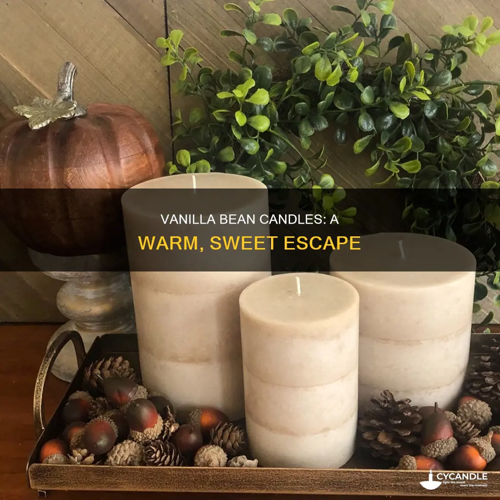 haven st candle co vanilla bean