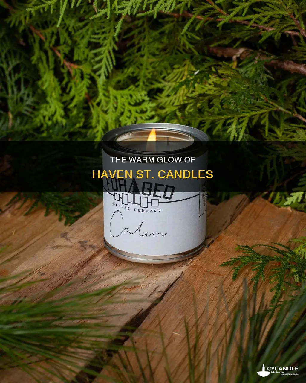 haven st candle company