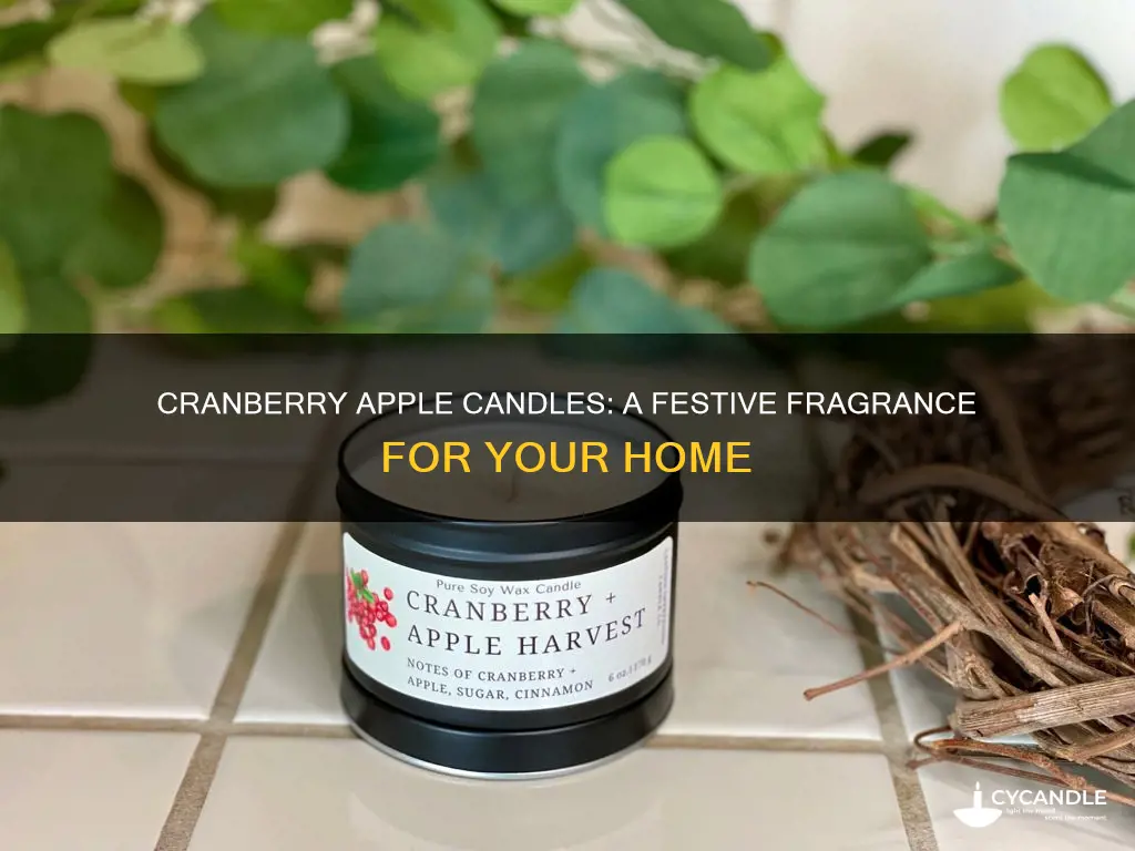 haven street candle co cranberry apple