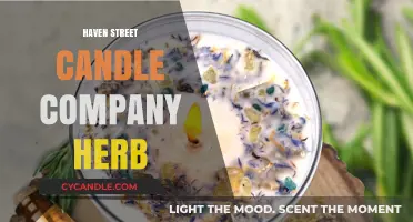 Herb-Infused Candles: Haven Street's Botanical Aromas