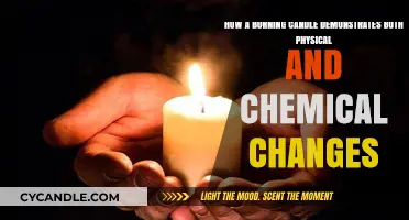 Candle Flame: Unveiling Physical and Chemical Transformations in Action