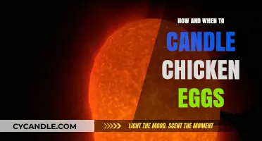 Candling Chicken Eggs: A Step-by-Step Guide