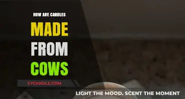 Crafting Candles: The Surprising Role of Cow Products