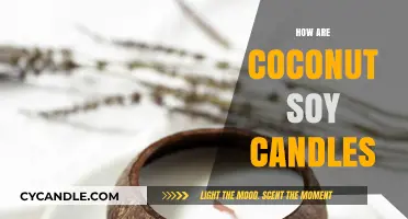 Soy-Coconut Candles: A Natural, Clean Burn