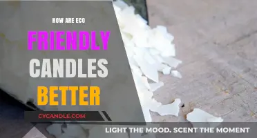 Eco-Friendly Candles: A Brighter, Greener Flame
