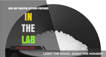 Step-by-Step Guide to Preparing Paraffin Sections in Laboratory Settings
