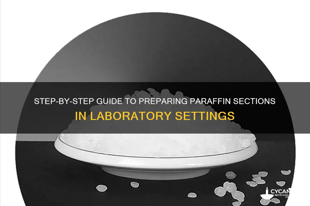 how are paraffin sections prepared in the lab