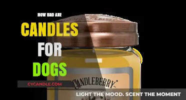 Candles and Dogs: A Toxic Relationship?