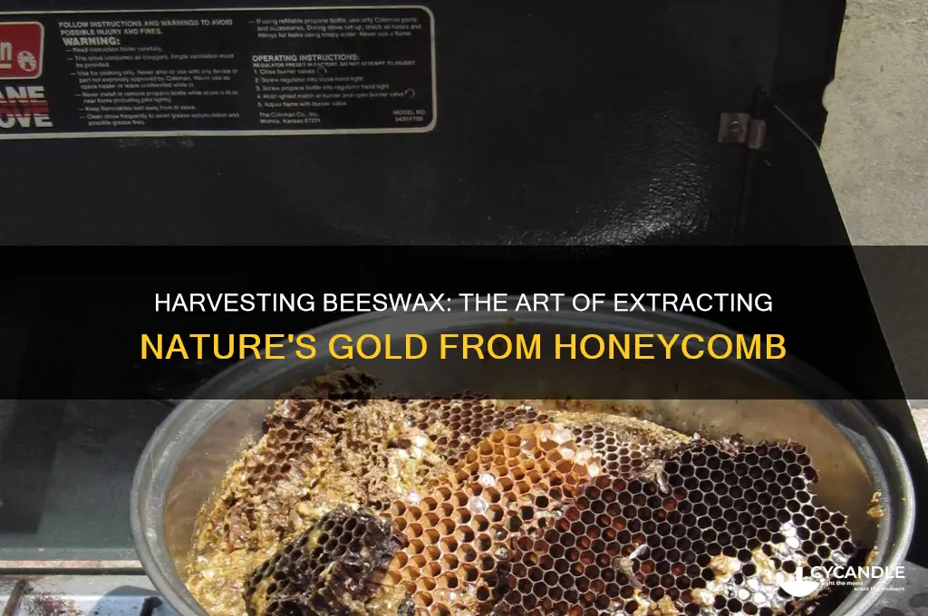 how beeswax is gotten from honeycomb