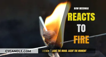 Beeswax and Fire: Unveiling Its Unique Combustion Behavior