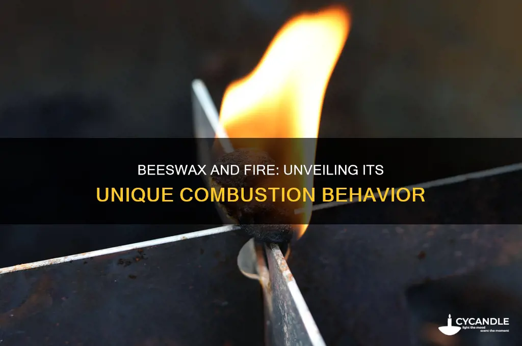 how beeswax reacts to fire