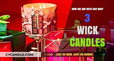 Discover the Size of Bath & Body Works 3-Wick Candles
