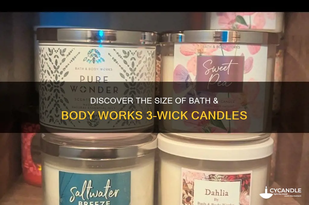 how big are bath and body 3 wick candles