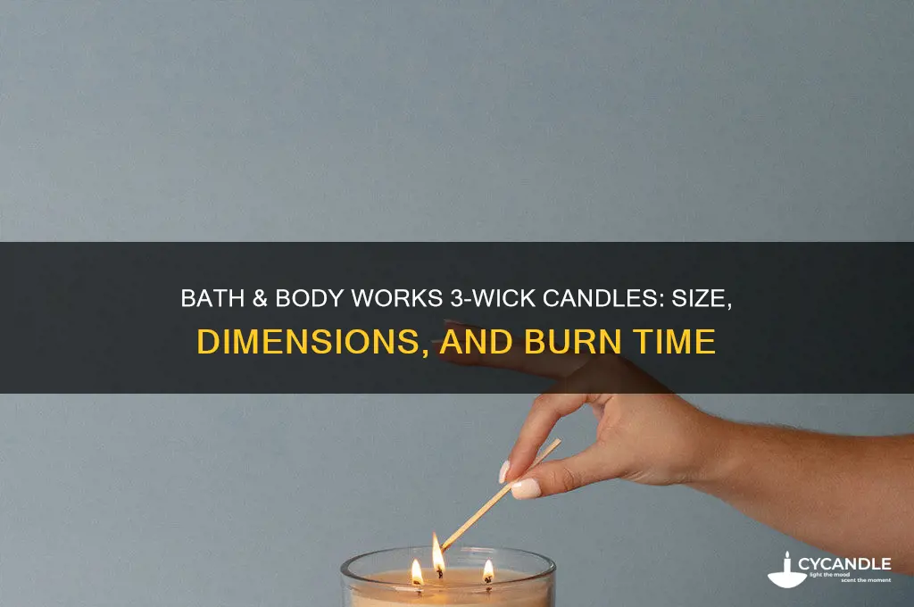 how big are bath and body works 3 wick candles