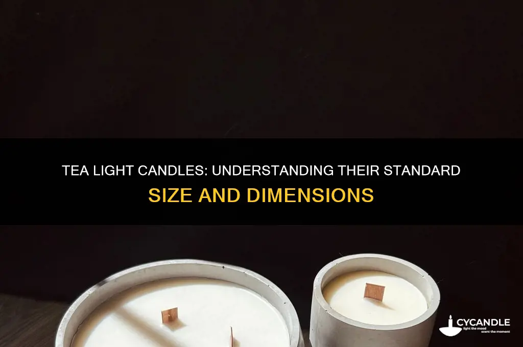 how big are tea light candles