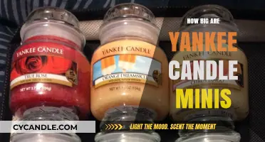 Discover the Compact Size of Yankee Candle Minis